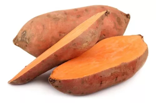 Muda de Batata Beauregard